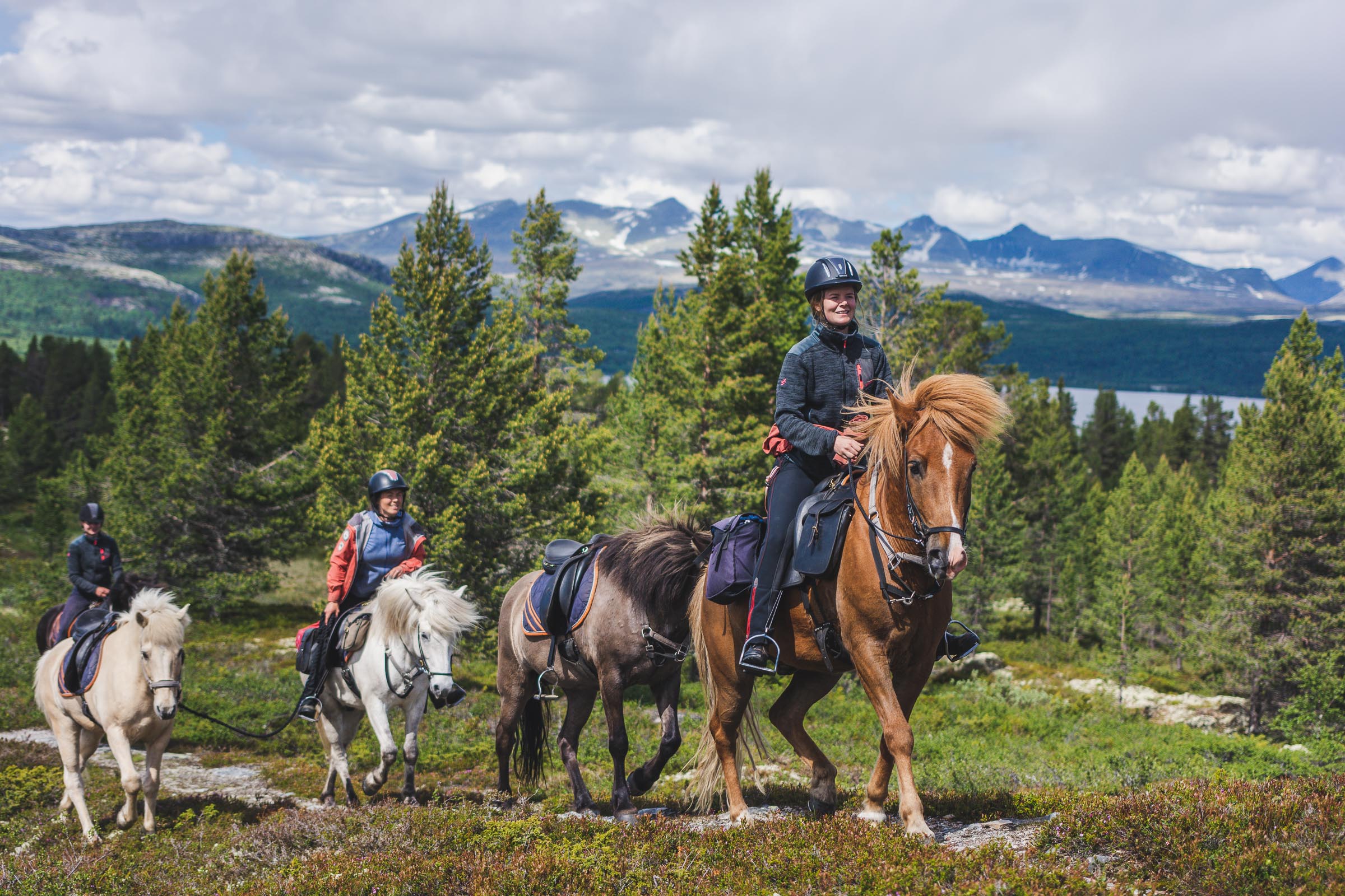 På hesteryggen i Rondane