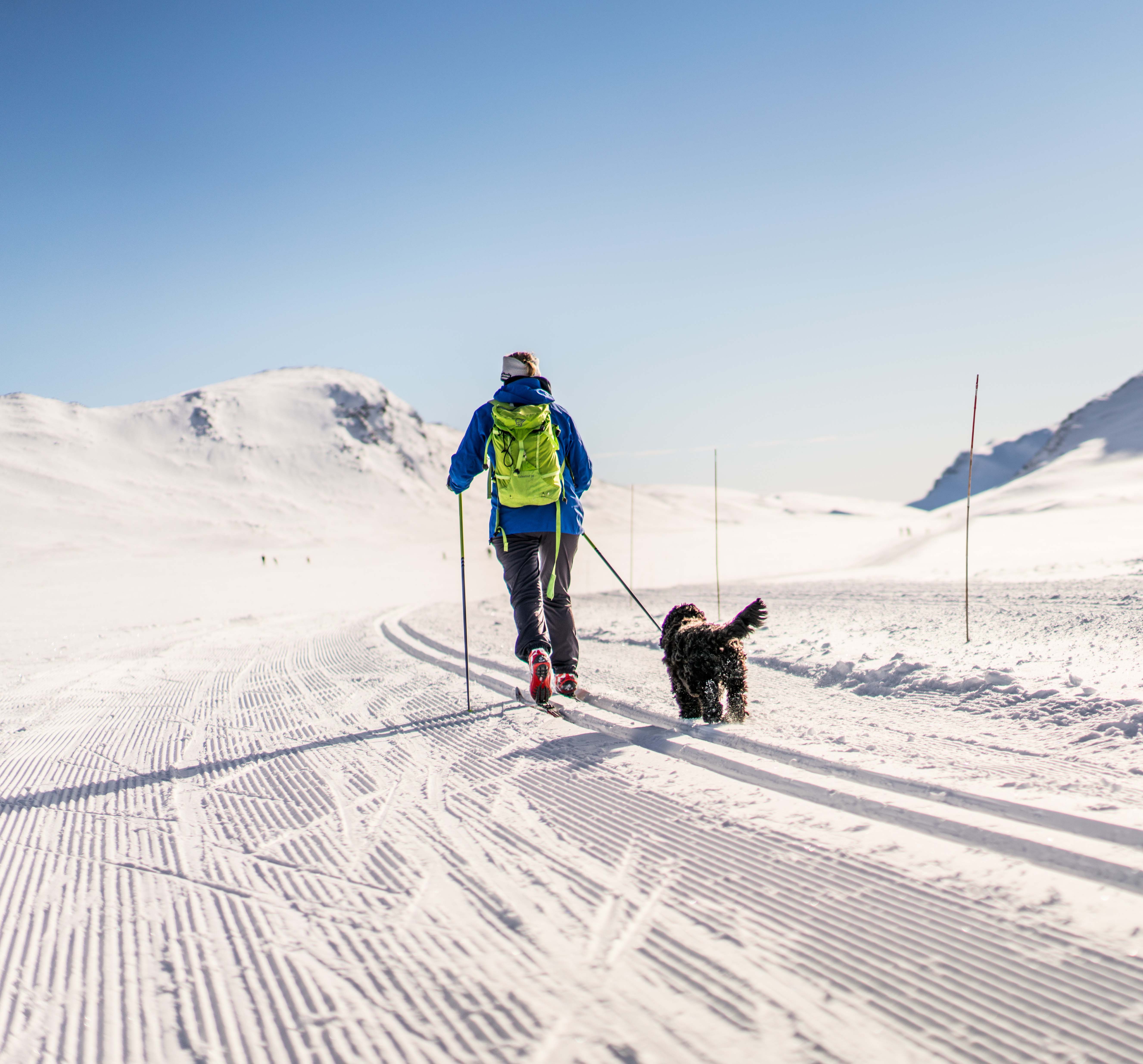 Ski på Høvringen, Rondane nasjonalpark