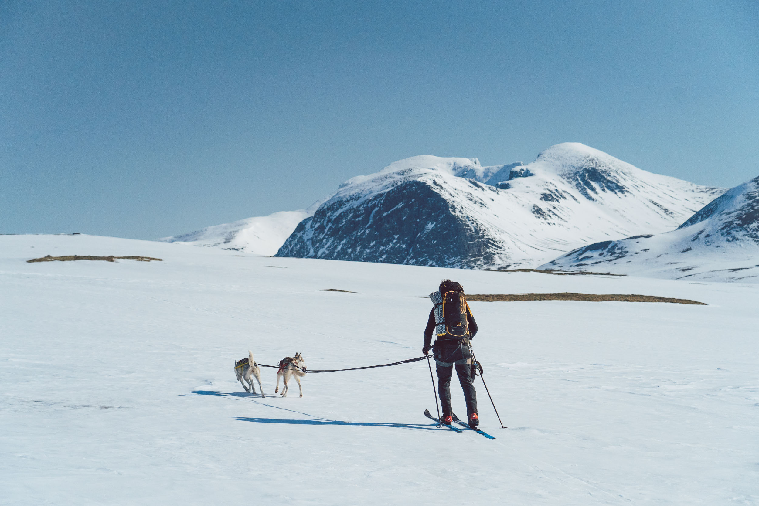 Fjellski i Rondane