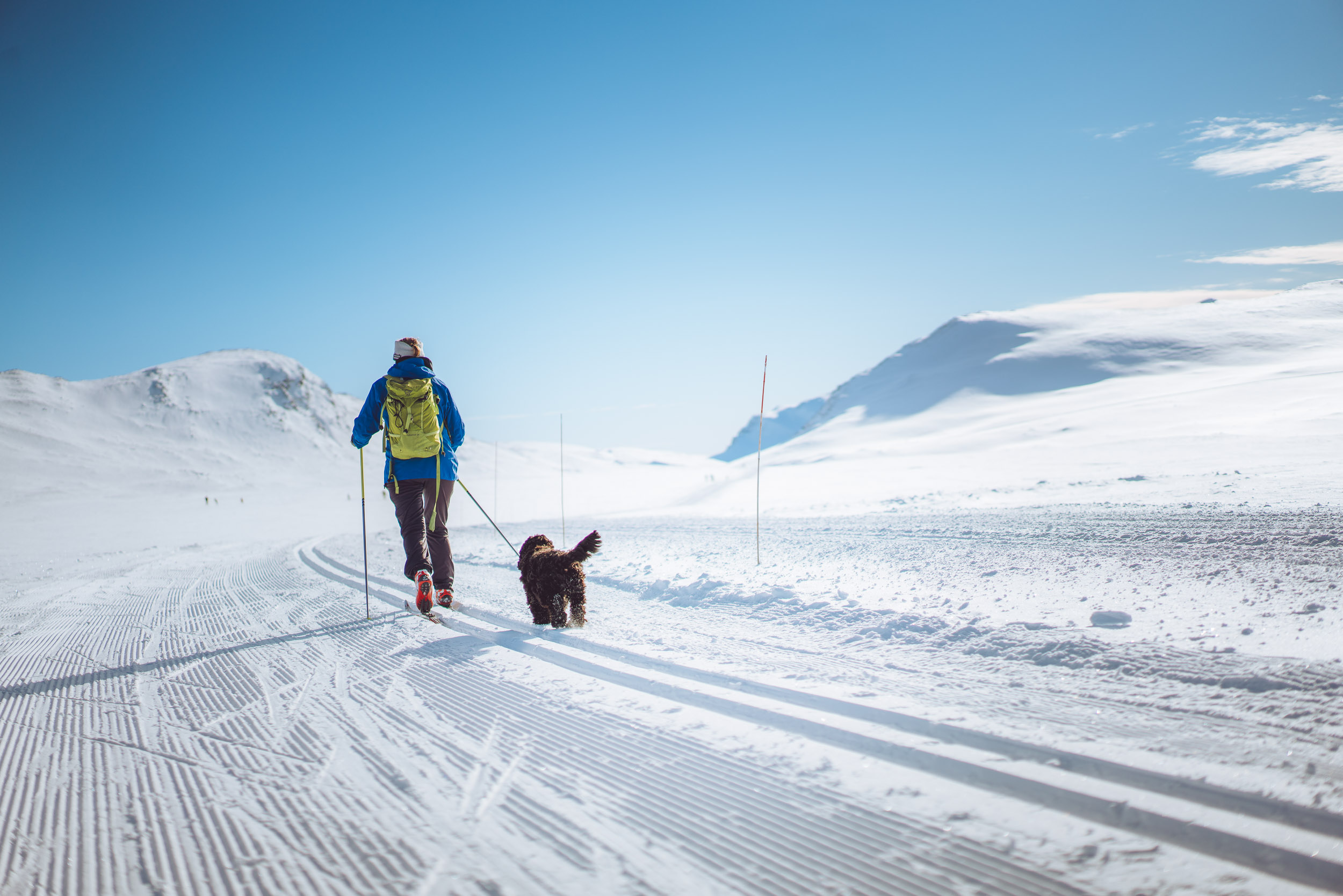 Vinter på Høvringen