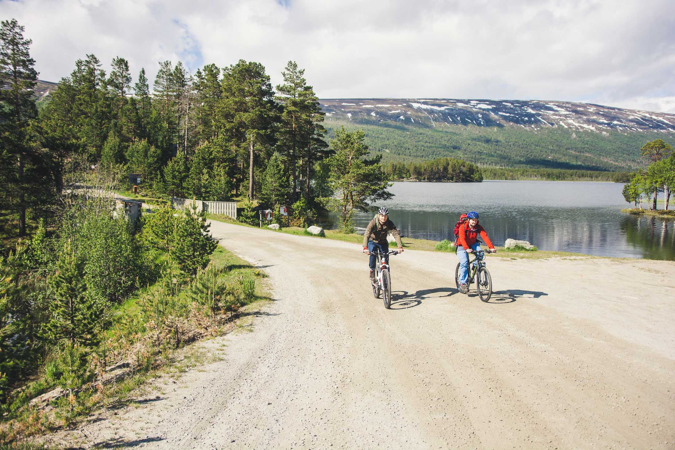 Sykkel på Lesja