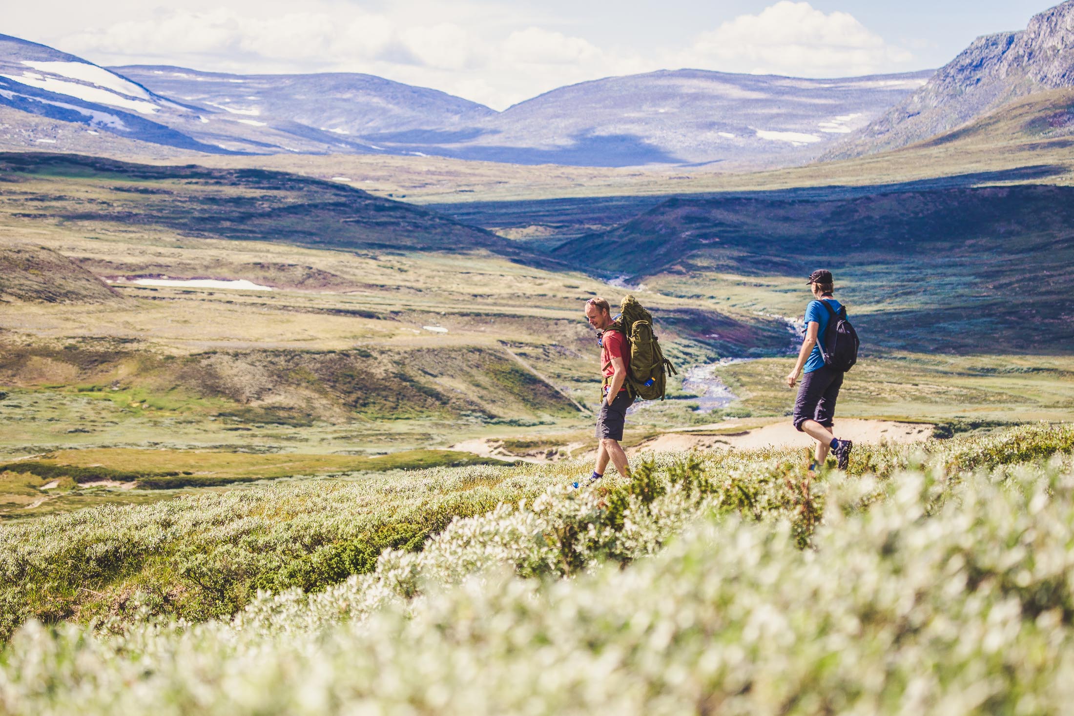 Dovrefjell