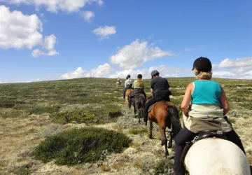 Kvistli - Overnatting på Dovrefjell