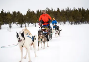 Hundekjøring i Jotunheimen | Sjodalen Hyttetun