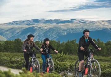 Sykkelutleie på Dombås | Dovrefjell Adventures