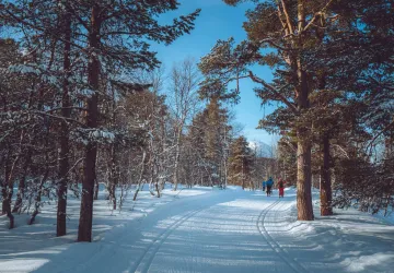 Bjorli og Lesja Løypelag 