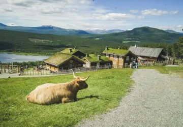 Glittersjå mountain farm