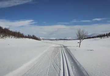 Langrennsløyper i Dovre