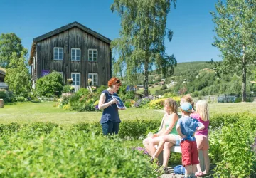 Ullinsvin