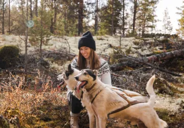 Sjodalen Hyttetun - Hundekjøring sommer