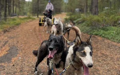 Hundespann hos Heidal Husky