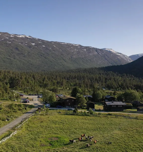 Sota Sæter DNT