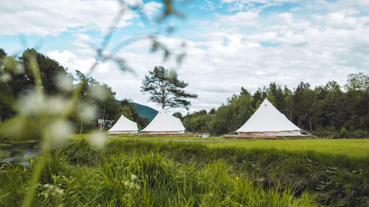 Glamping på Toftemo